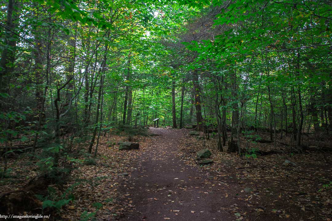 ricketts glen trail